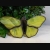 Witrażowy motyl w kolorze żółtym